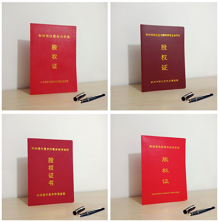 股權(quán)證案例說明