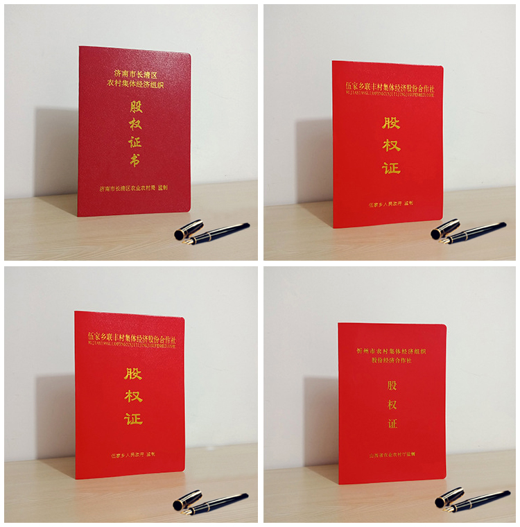 股權(quán)證案例說明