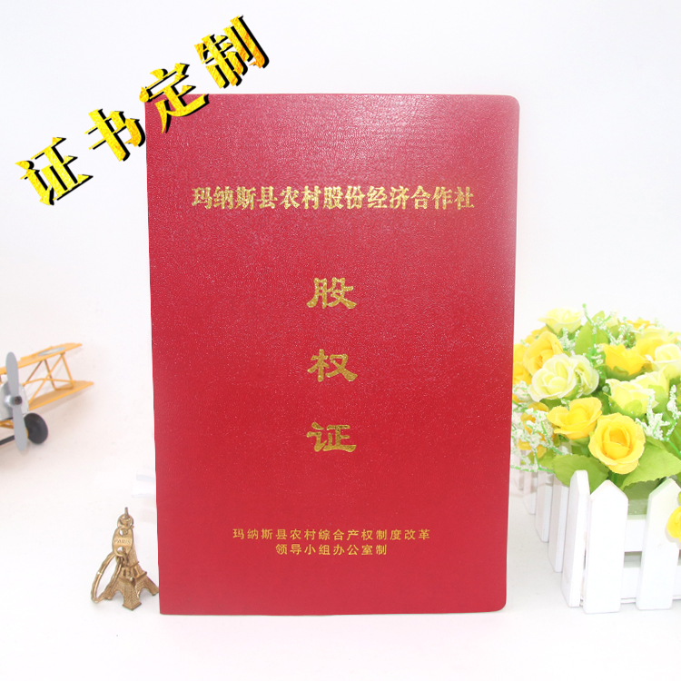 1598282228985750.jpg 瑪納斯股權(quán)證 拷貝.jpg